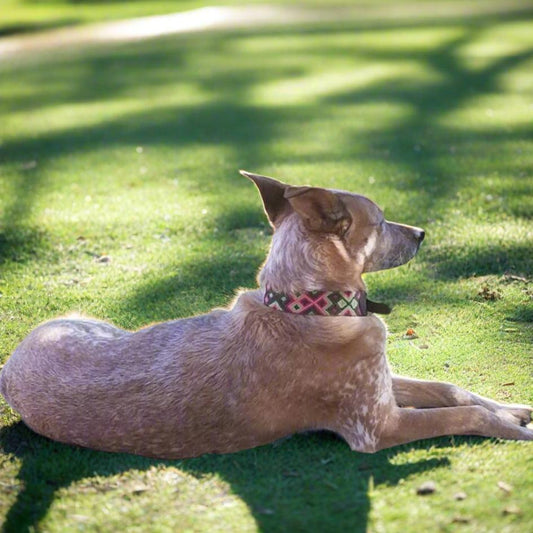 DOG COLLAR - HANDWOVEN
