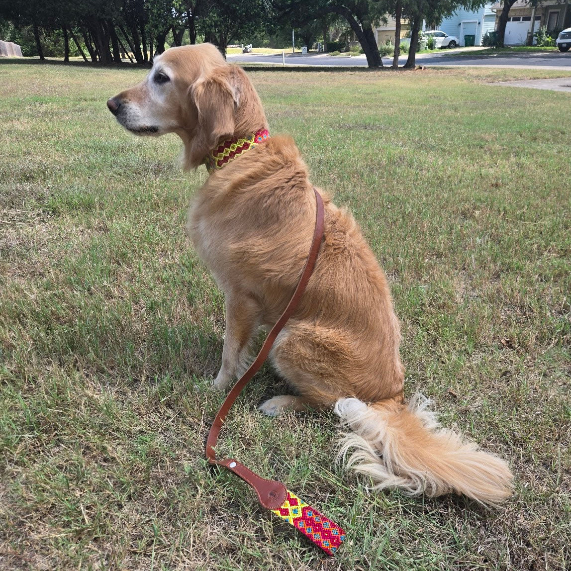 Peekarte set collar+leash